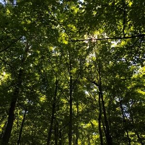 Meet your Posher, Outdoor mama